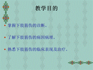 中医筋伤学—下肢筋伤ppt课件文档资料.ppt