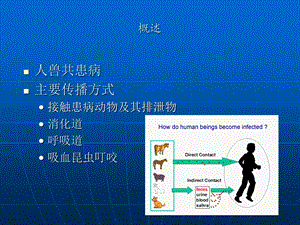 动物源性细菌文档资料.ppt