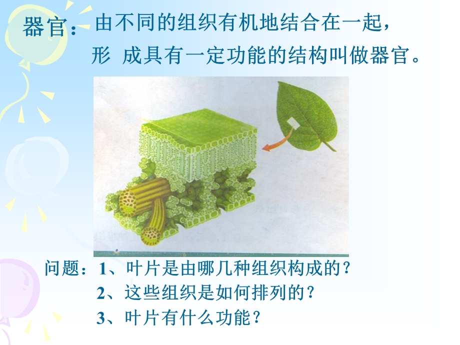 七年级生物多细胞生物体的结构层次1.ppt_第3页