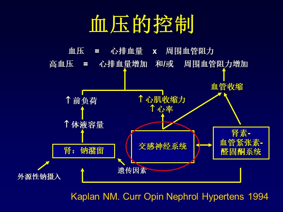 β受体阻滞剂在高血压治疗中的意义文档资料.ppt_第1页