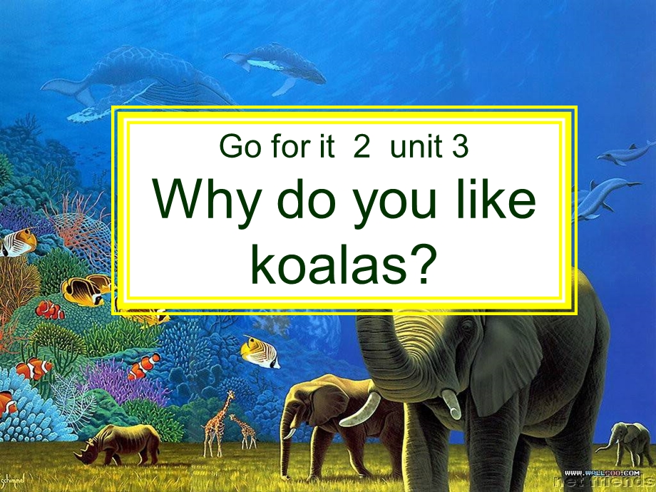 七年级下册Goforit2unit3Whydoyoulikekoalas.ppt_第1页