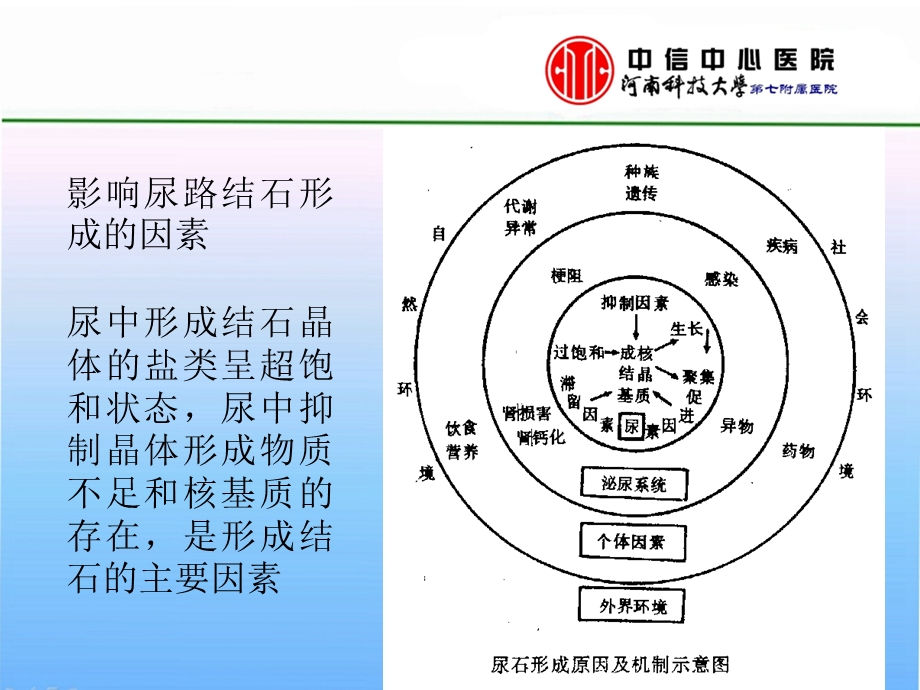 泌尿系统结石PPT文档.pptx_第3页