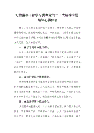 纪检监察干部学习贯彻党的二十大精神专题培训心得体会.docx