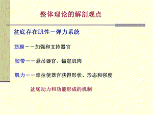 Integral Theory 盆底动力解剖与盆底重建手术课件幻灯PPTPPT文档.ppt