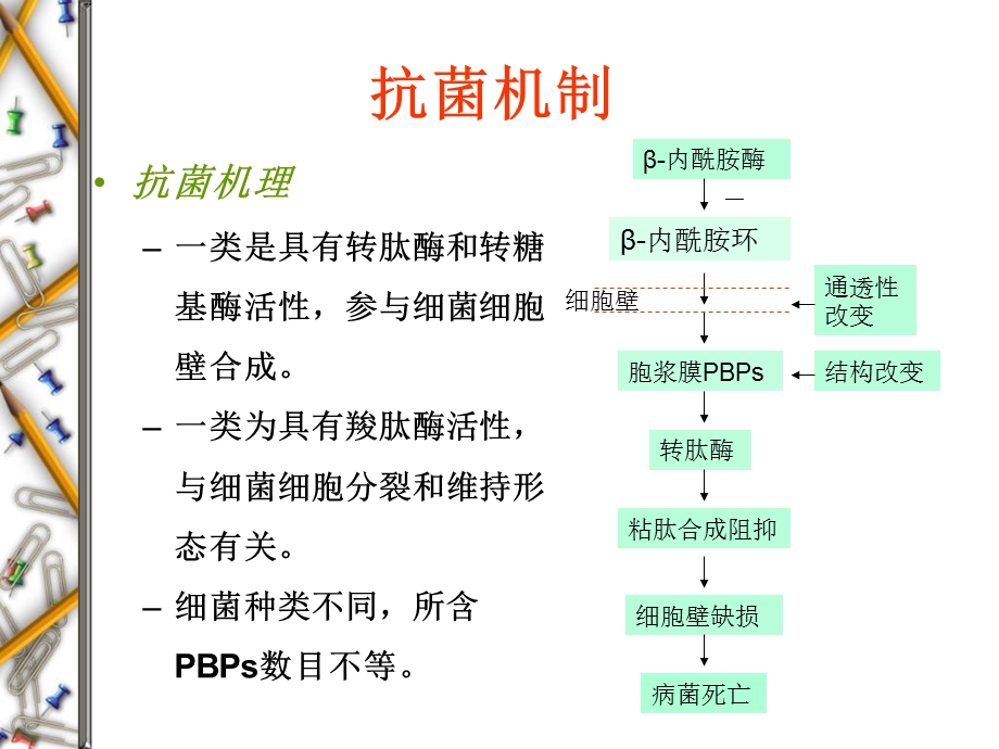 β内酰胺类抗生素本科第七版精选文档.ppt_第3页