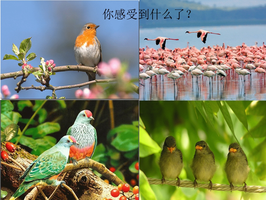 专题教育19：地震自救知识教学课件.ppt_第2页