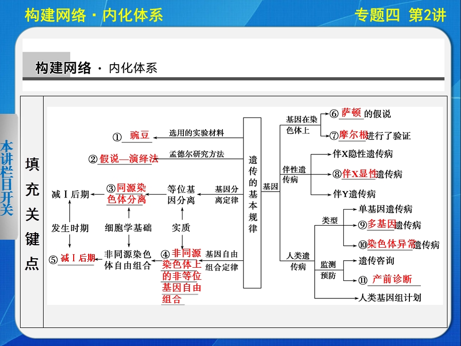 二轮专题突破：遗传基本规律与伴性遗传.ppt_第2页