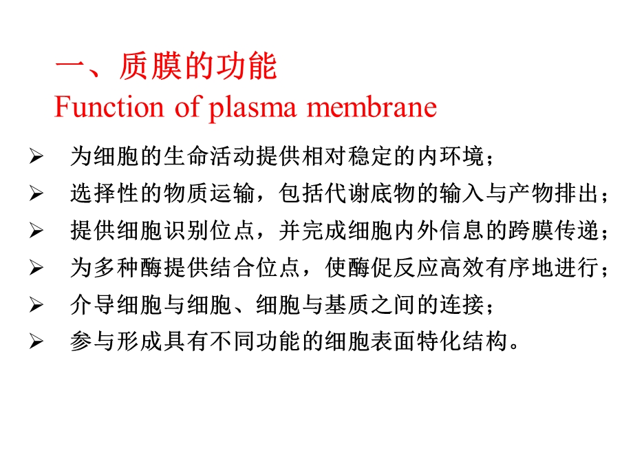 2真核细胞的基本结构PPT文档.ppt_第3页