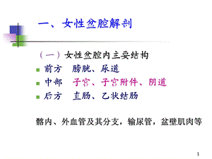 医学超声影像学25妇科疾病超声诊断孙彤课件文档资料.ppt