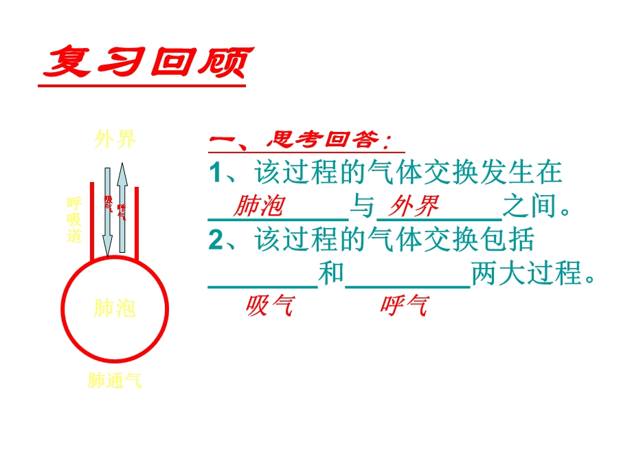 七年级生物下册_人体内的气体交换_课件_苏教版.ppt_第2页