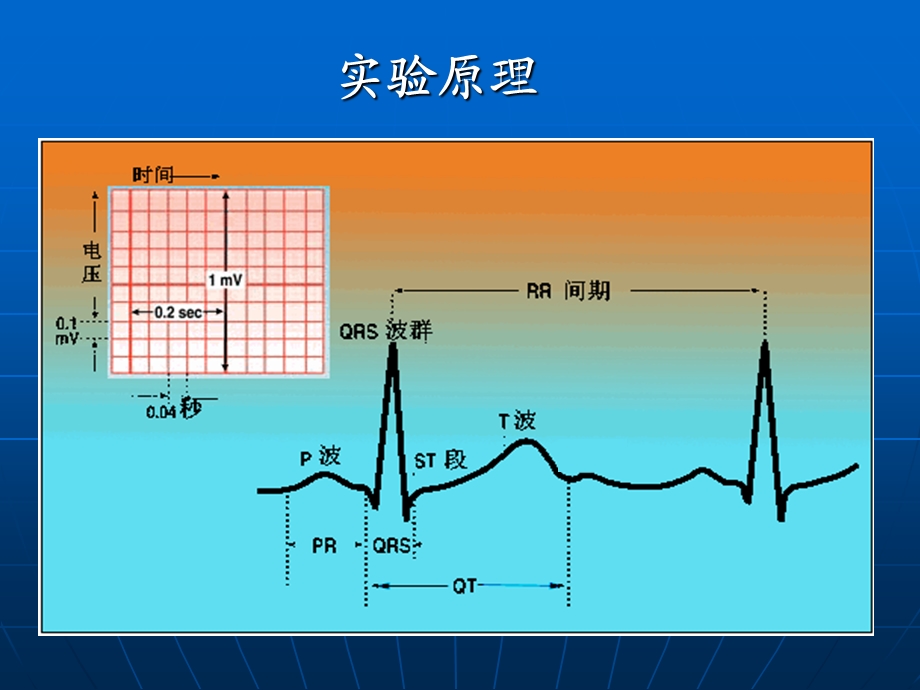 7强心苷对兔心的毒性作用和利多卡因的抗心律失常作用PPT文档精选文档.ppt_第3页