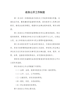 政务公开工作制度.docx