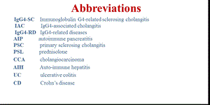 igg4相关肝胆疾病的诊断与治疗PPT文档.pptx