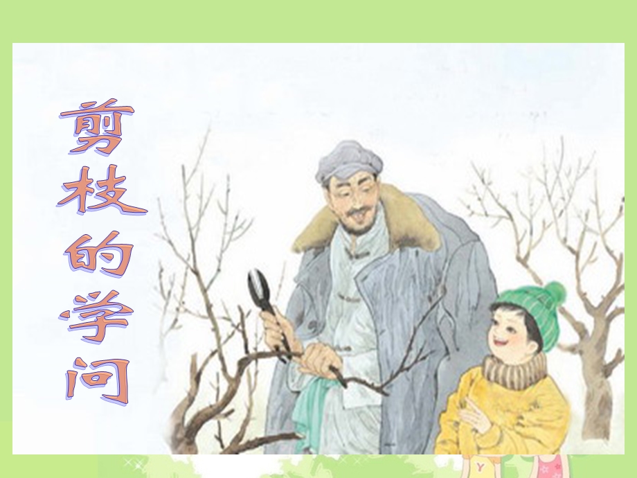 三下《剪枝的学问》课件.ppt_第1页