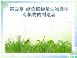 七年级绿色植物是生物圈中有机物的制造者.ppt