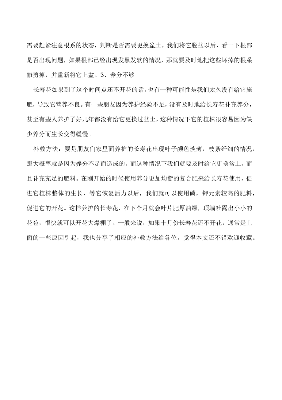 十月长寿花还不开花是什么原因如何补救.docx_第2页