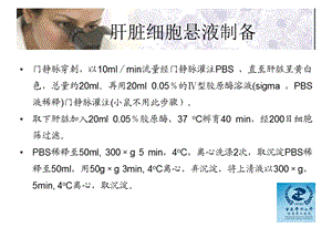 最新Kupffer 细胞 分离 培养PPT文档.ppt