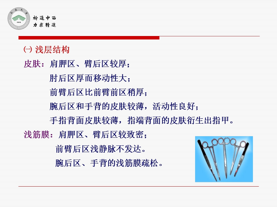 医用局部解剖学肩胛区、三角肌区、臂和前臂后区、腕后区、手背和手指背面文档资料.ppt_第1页