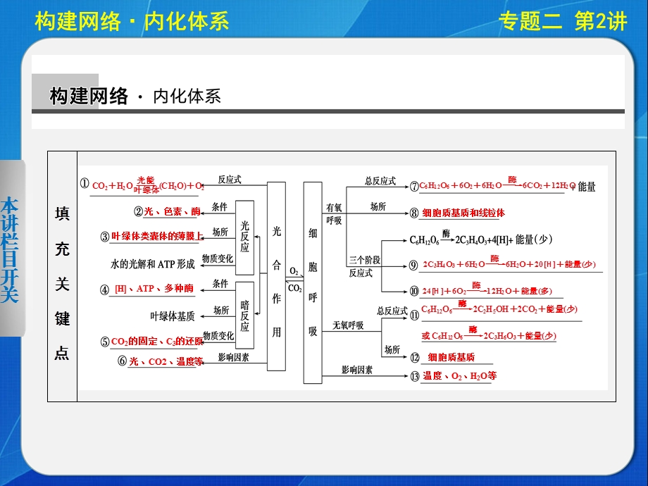 二轮专题突破：光合作用与细胞呼吸.ppt_第2页