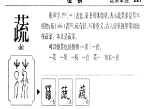 三年下三单元《父亲的菜园》.ppt