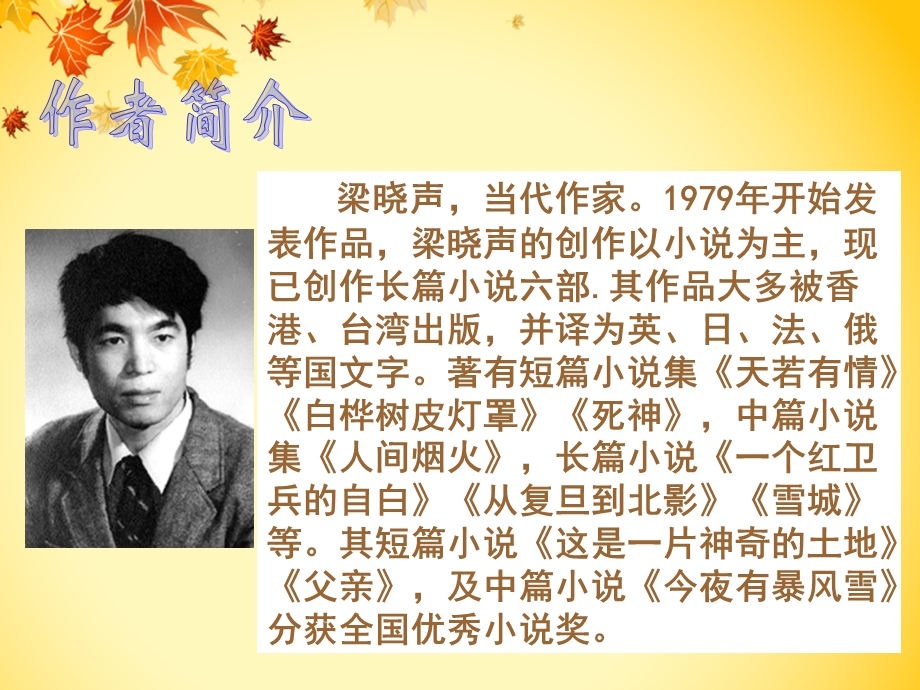 乔胜慧18慈母情深.ppt_第3页