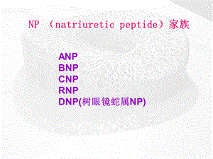 BNP及NTproBNP的临床应用课件幻灯PPT文档资料.ppt