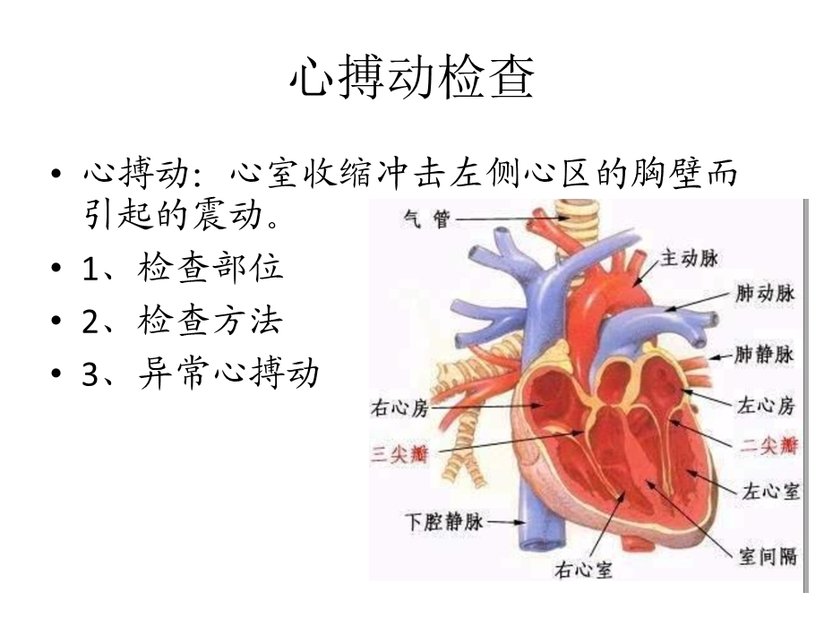 最新3,心血管系统检查PPT文档.pptx_第3页