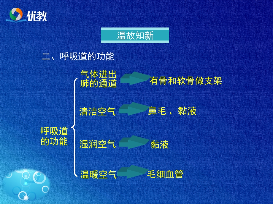 发生在肺内的气体交换PPT文档.ppt_第2页