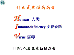 艾滋病预防知识文档资料.ppt