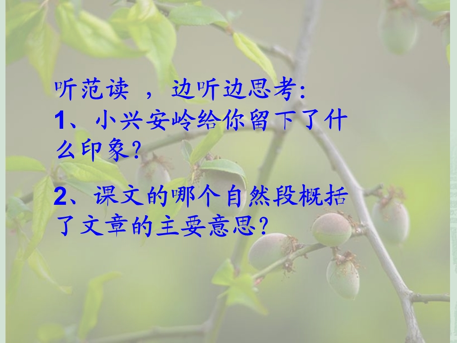 三年级-语文23美丽的小兴安岭PPT.ppt_第2页