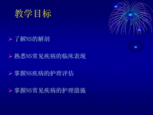 内科护理学神经系统疾病护理618文档资料.ppt