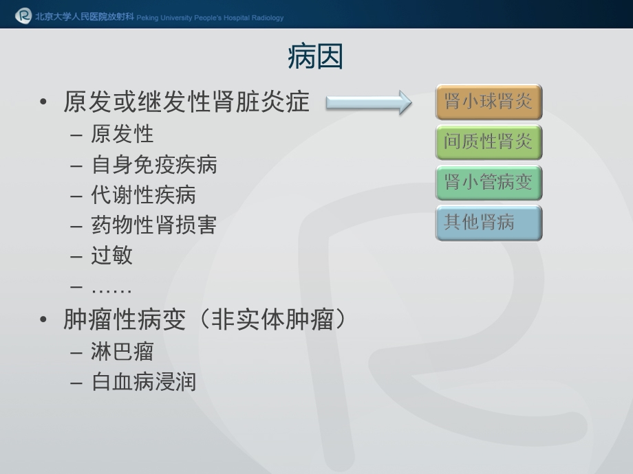 双肾弥漫病变文档资料.pptx_第1页