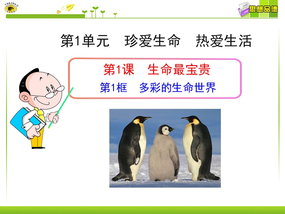 七年级思品上册第1框多彩的生命世界.ppt_第1页