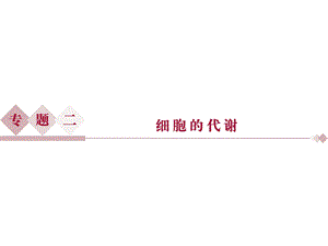 专题21酶和ATP.ppt