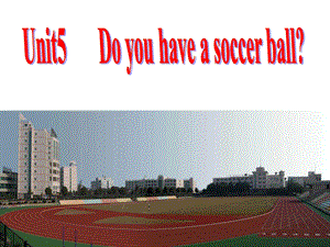 七年级英语doyouhaveasoccerball课件4.ppt