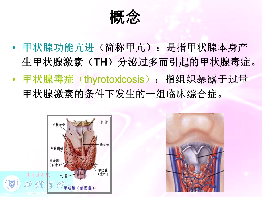 内科护理学甲状腺功能亢进症病人护理文档资料.ppt_第2页