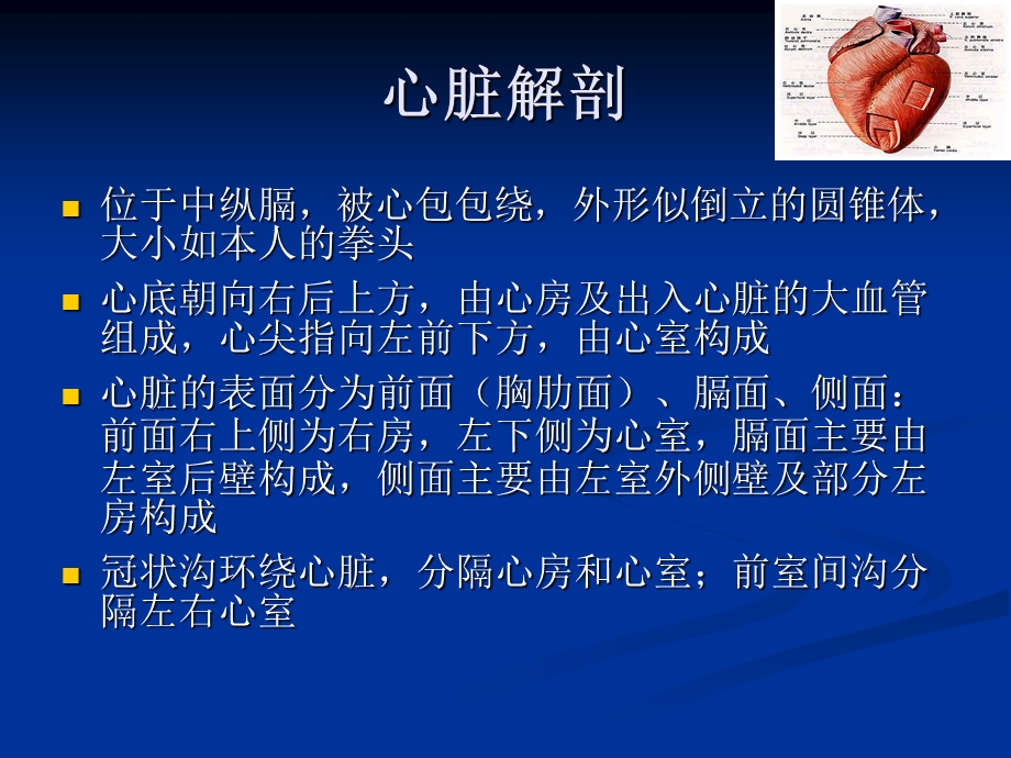 心脏基础PPT文档.ppt_第2页