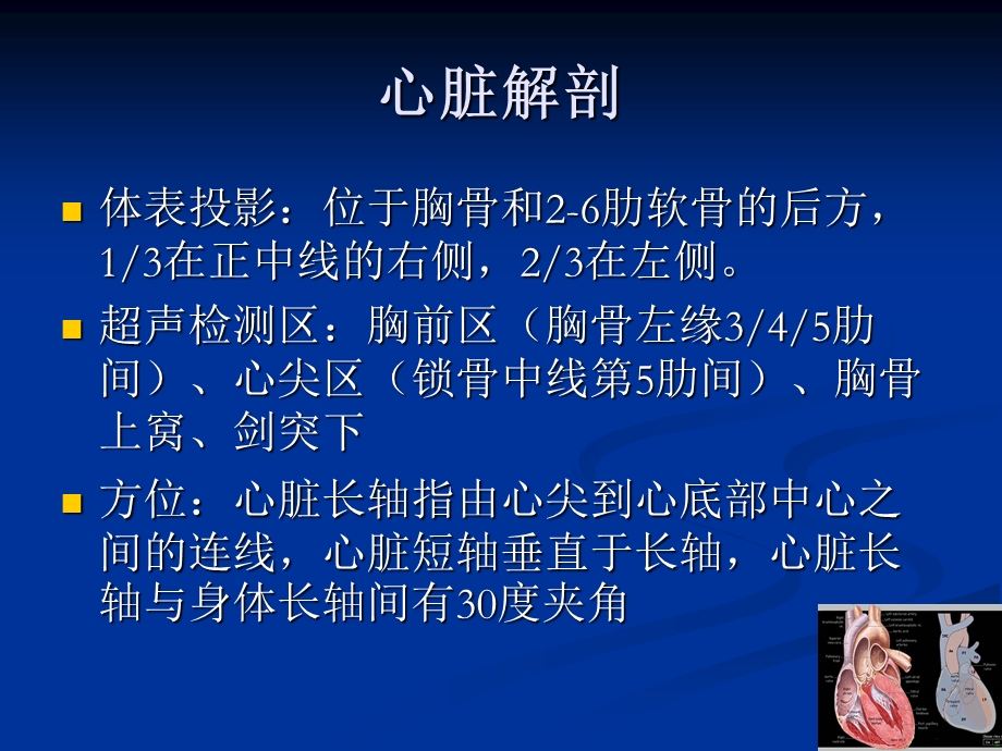 心脏基础PPT文档.ppt_第3页