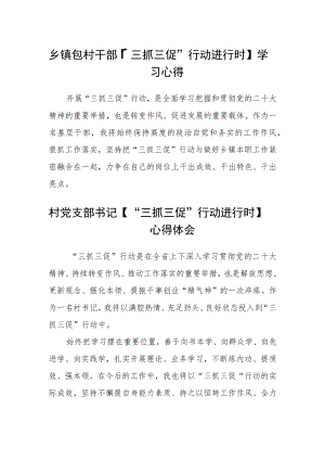 乡镇包村干部【“三抓三促”行动进行时】学习心得范文三篇.docx