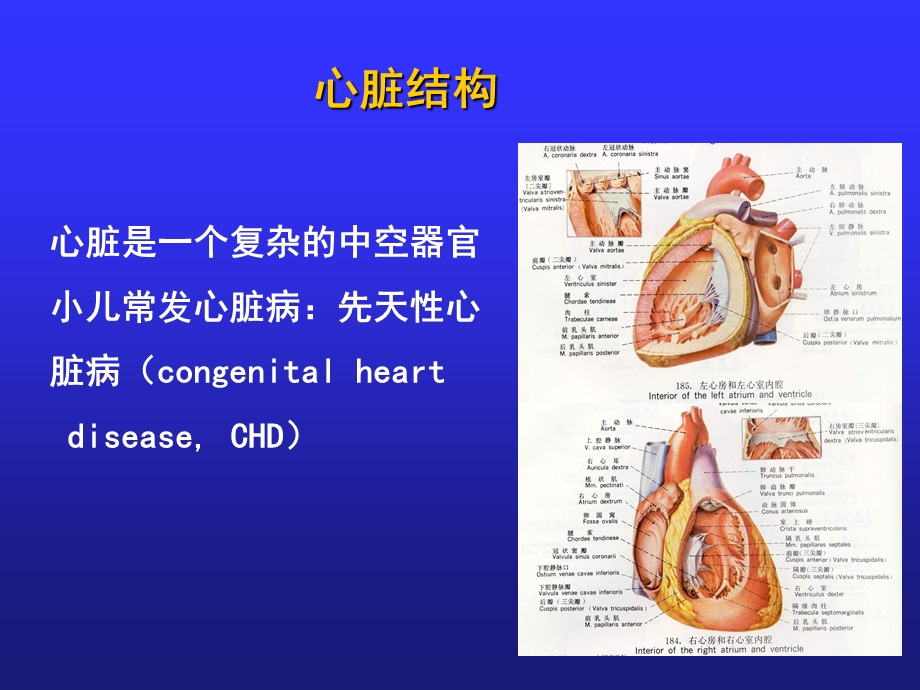 北京国康医院讲述：小儿先天性心脏病文档资料.ppt_第2页