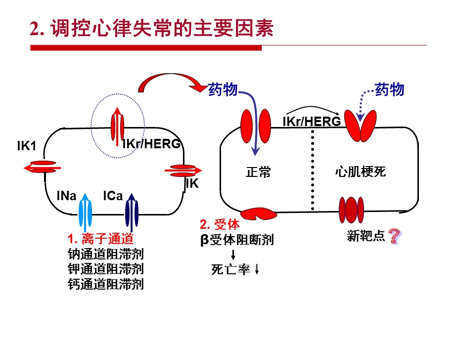 最新：M3受体与心律失常文档资料.ppt_第2页