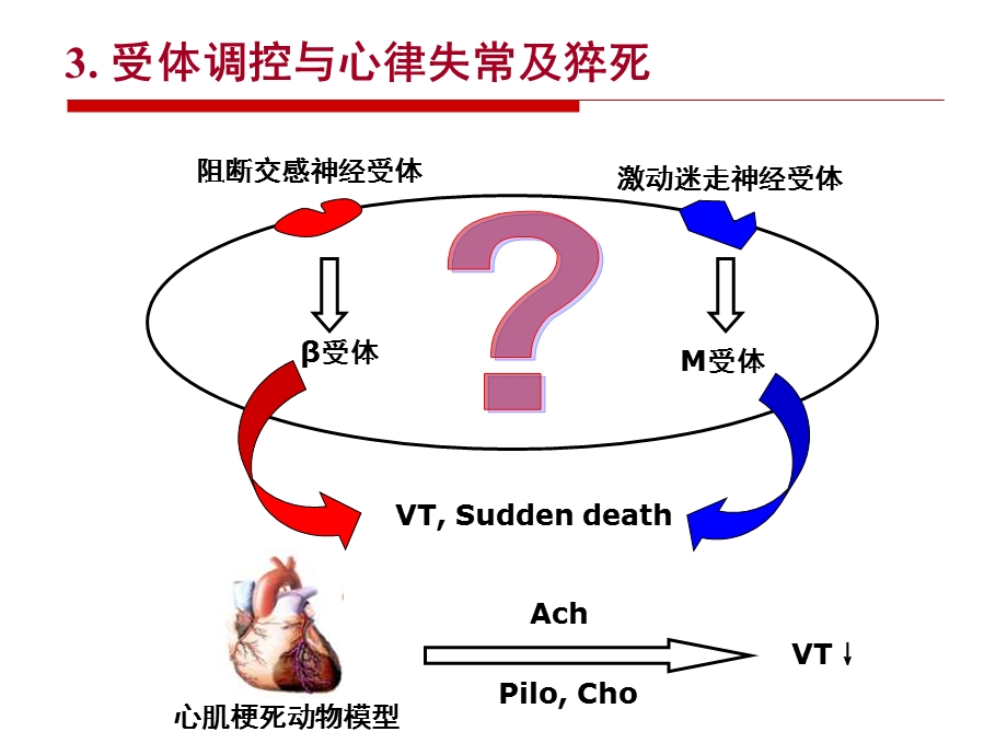 最新：M3受体与心律失常文档资料.ppt_第3页