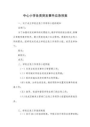 中心小学各类突发事件应急预案.docx