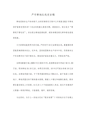 严守耕地红线发言稿.docx