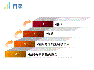 细胞粘附分子PPT文档.ppt