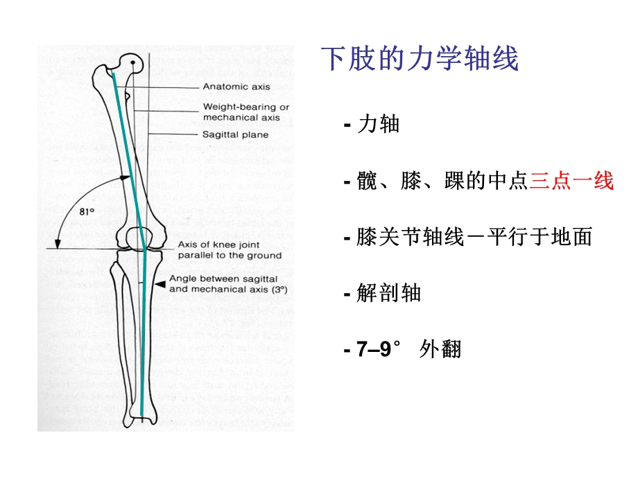 ao膝关节骨折文档资料.ppt_第2页