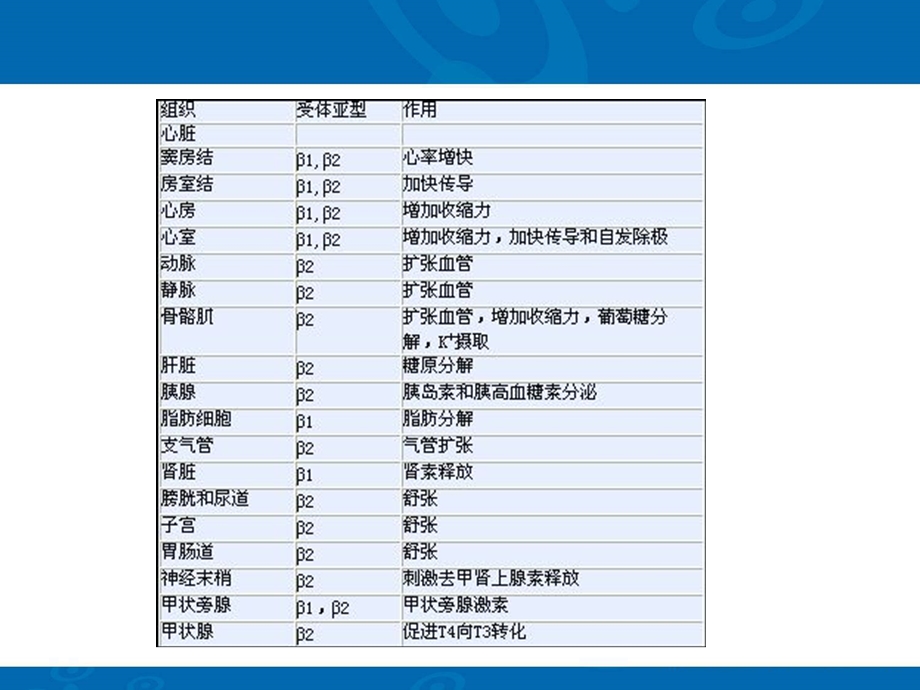 β阻断剂在心血管疾病临床应用的中国专家共识PPT课件精选文档.ppt_第2页