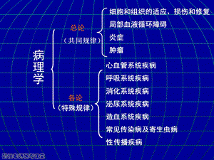 病理学精选文档.ppt