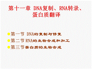 第十一章DNA复制RNA转录蛋白质翻译名师编辑PPT课件.ppt