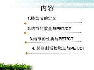 petct在肺内小结节诊断中的应用董文文档资料.ppt